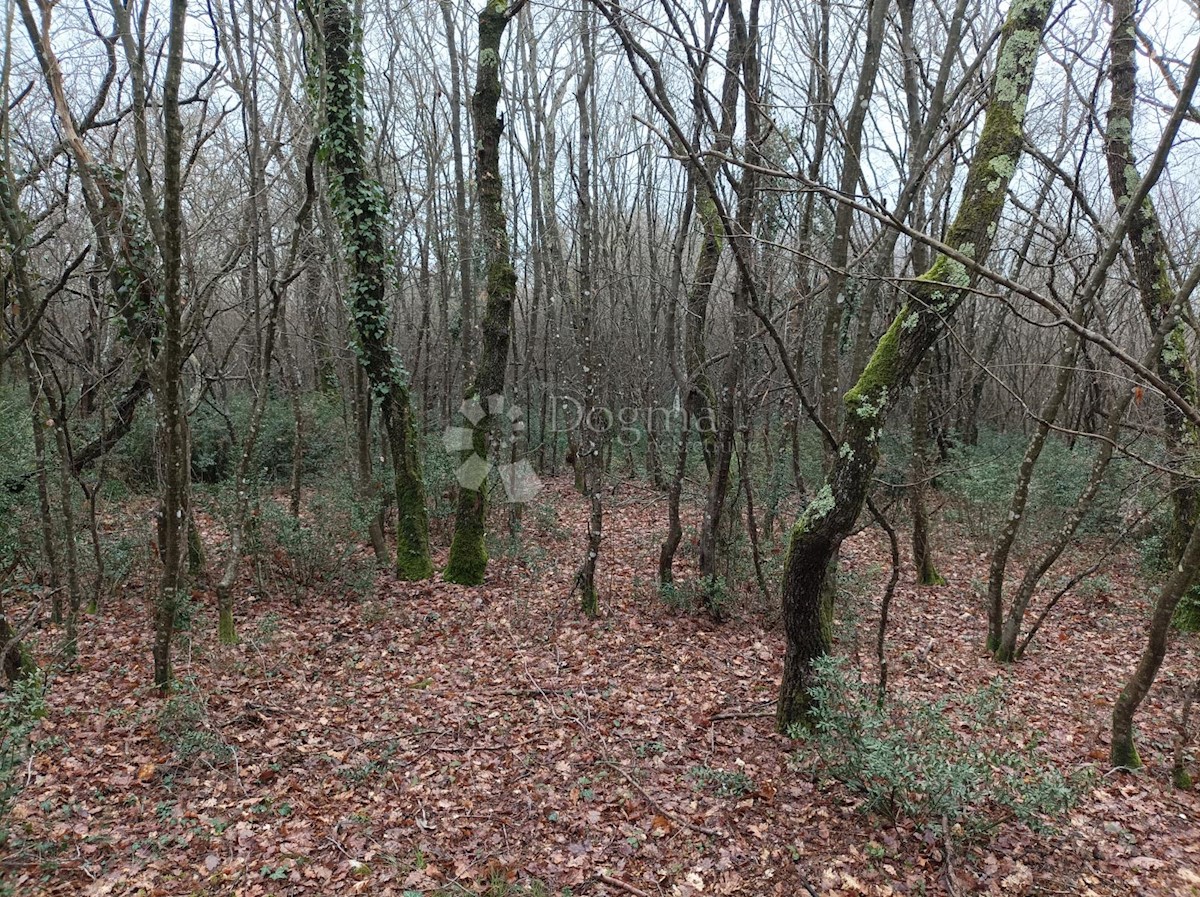 Terreno In vendita - ISTARSKA VIŠNJAN