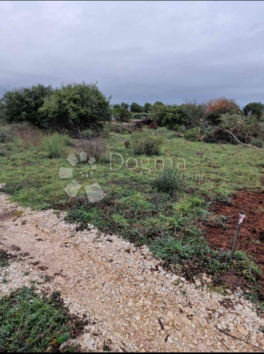 Land For sale - ISTARSKA MEDULIN