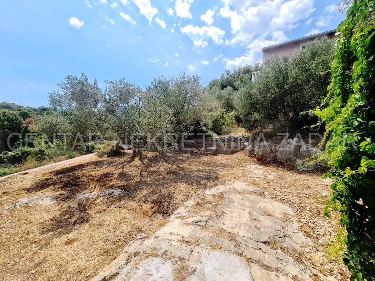 House For sale - ZADARSKA PAŠMAN