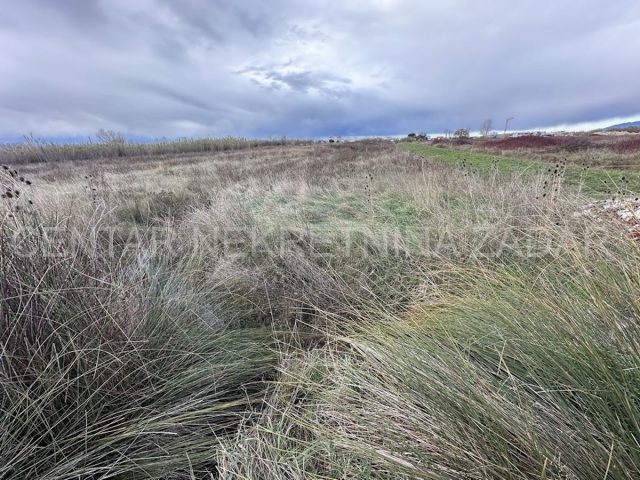 Land for sale 3215 m² – Vrsi