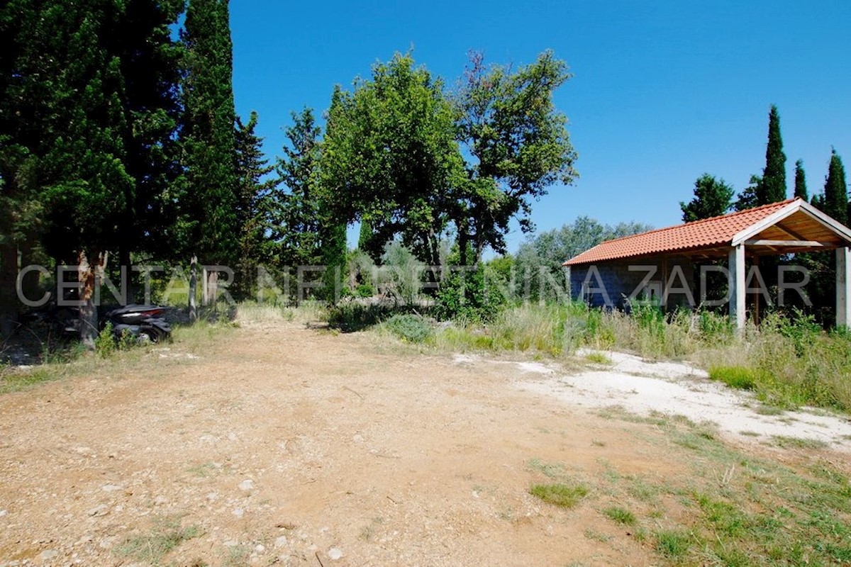 Land For sale - ZADARSKA PAŠMAN