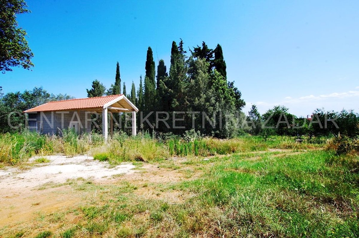 Land For sale - ZADARSKA PAŠMAN