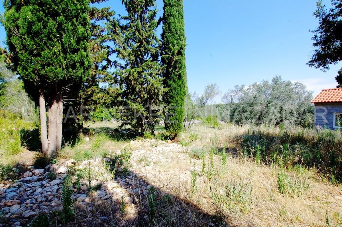 Land For sale - ZADARSKA PAŠMAN