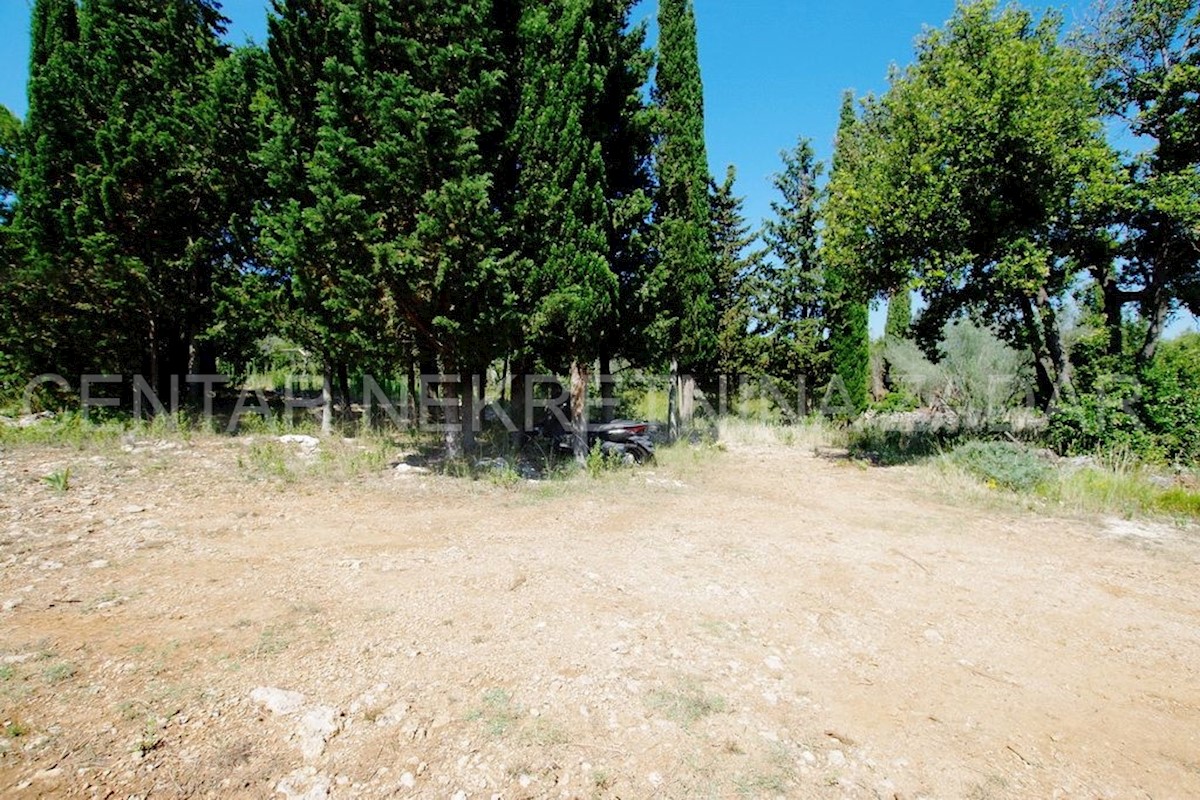 Land For sale - ZADARSKA PAŠMAN