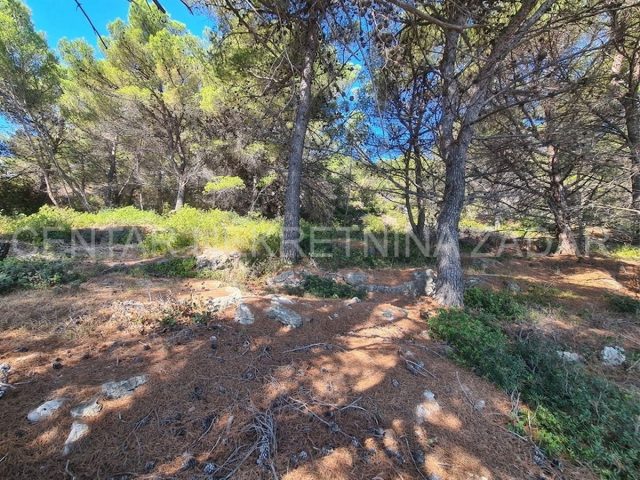 Terrain À vendre - Zadarska Ugljan - foto 5/8