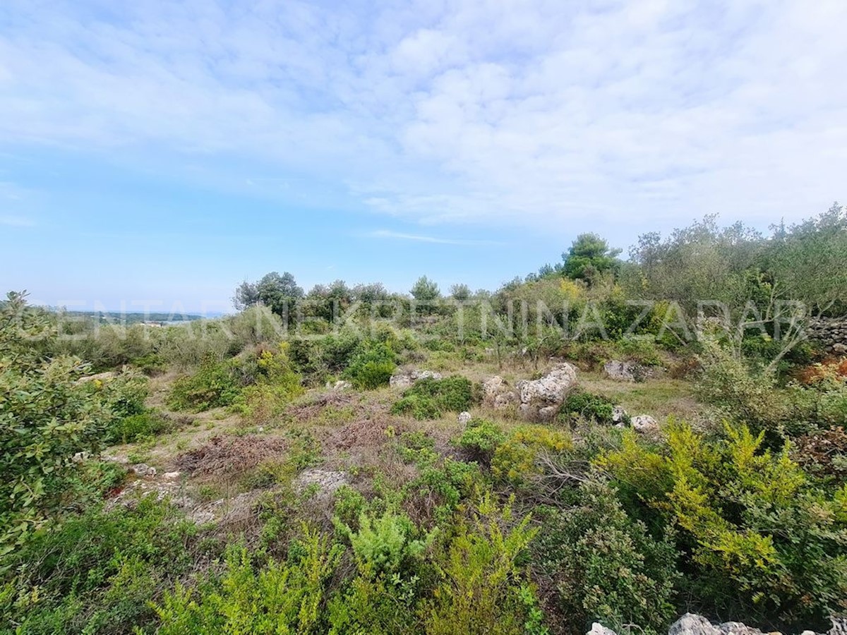 Land For sale - ZADARSKA PAŠMAN