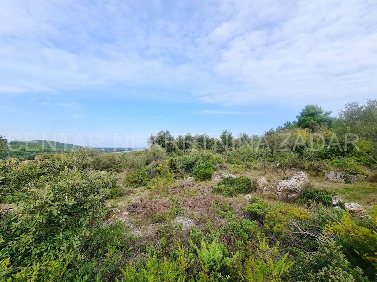 Land For sale - ZADARSKA PAŠMAN