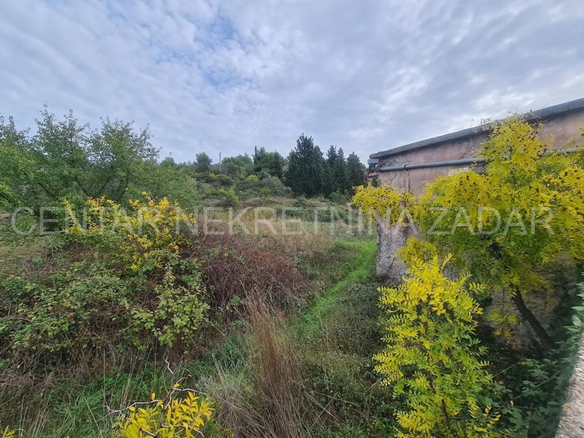 House For sale - ZADARSKA PAŠMAN