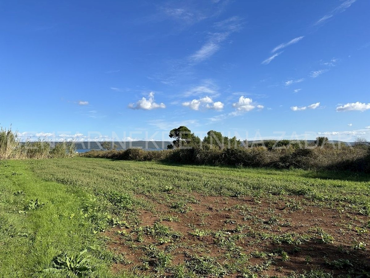 Terreno In vendita - ZADARSKA PAŠMAN