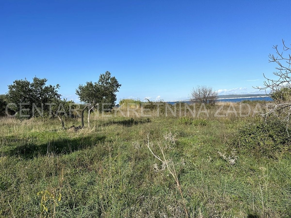 Land For sale - ZADARSKA PAŠMAN