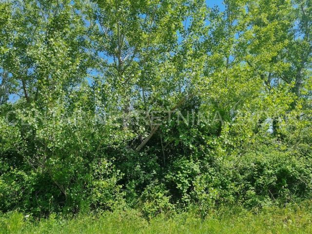 Land For sale - Zadarska Vrsi - foto 4/14