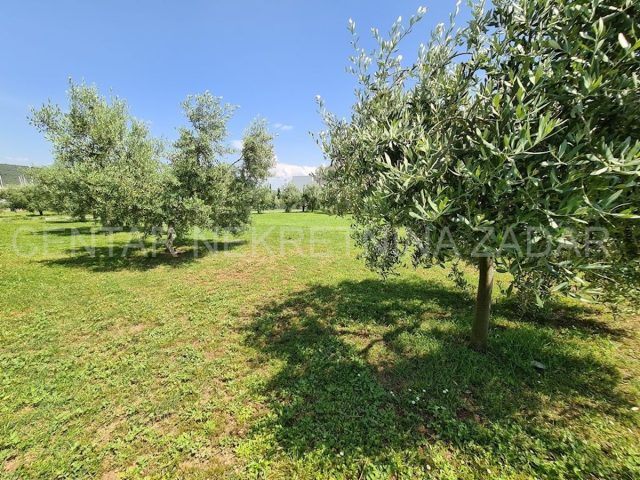 Terreno In vendita - Zadarska Bibinje - foto 5/22