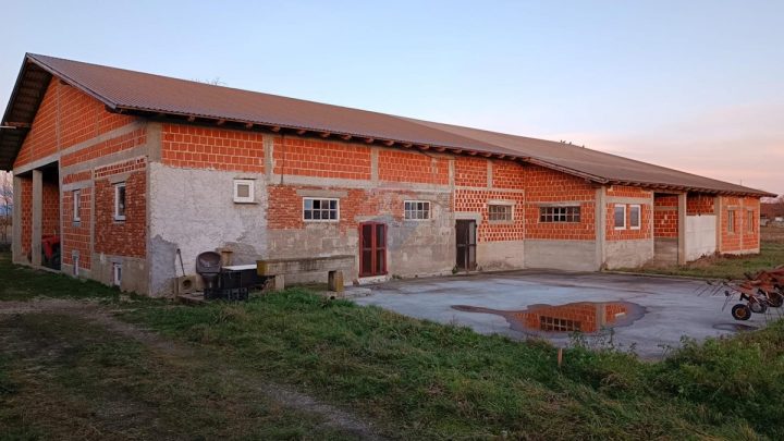 Komerční k pronájmu 843 m² – Odranski Obrež