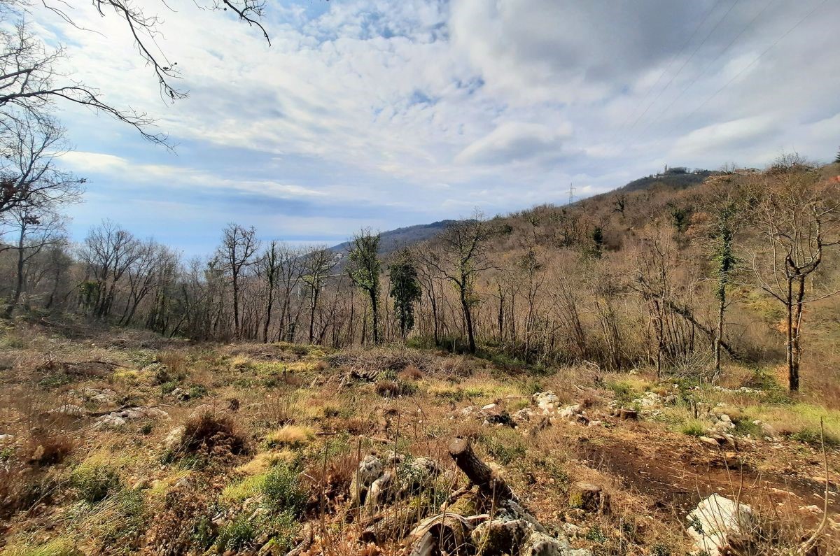 Grundstück Zu verkaufen - Primorsko-goranska Opatija - foto 2/8