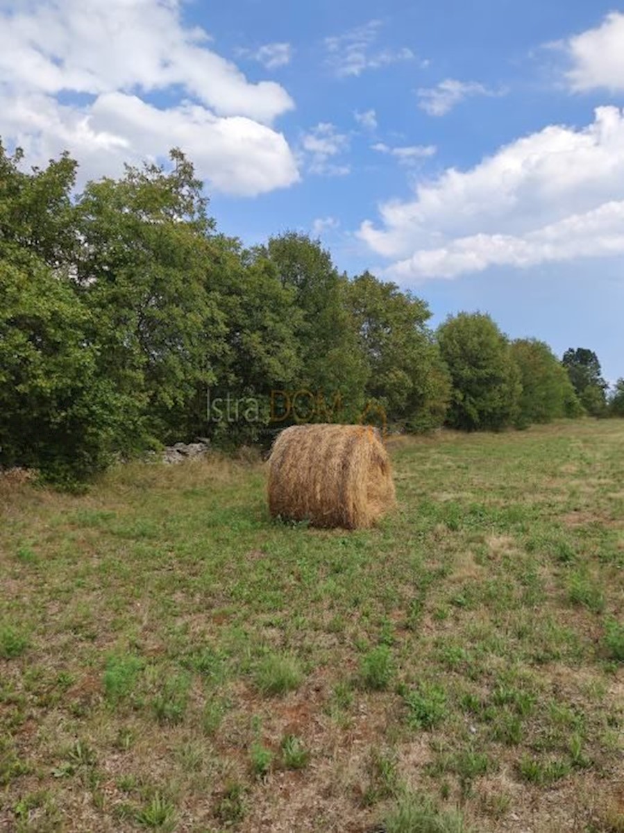 Pozemok Na predaj - ISTARSKA MARČANA