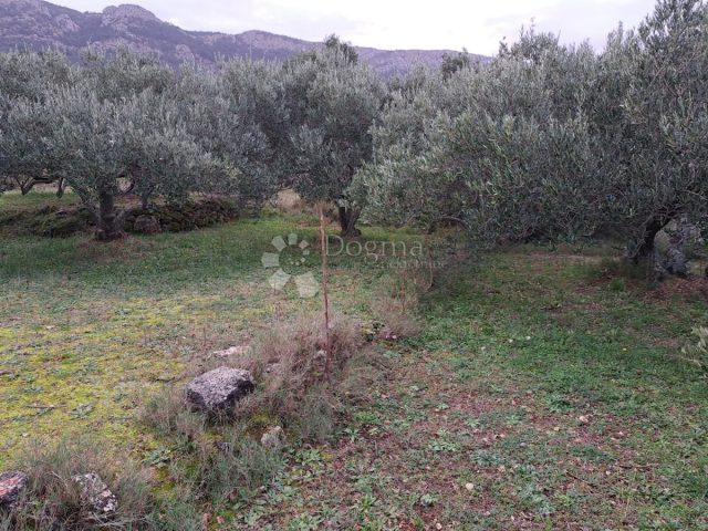 Land For sale - Splitsko-dalmatinska Hvar - foto 2/8