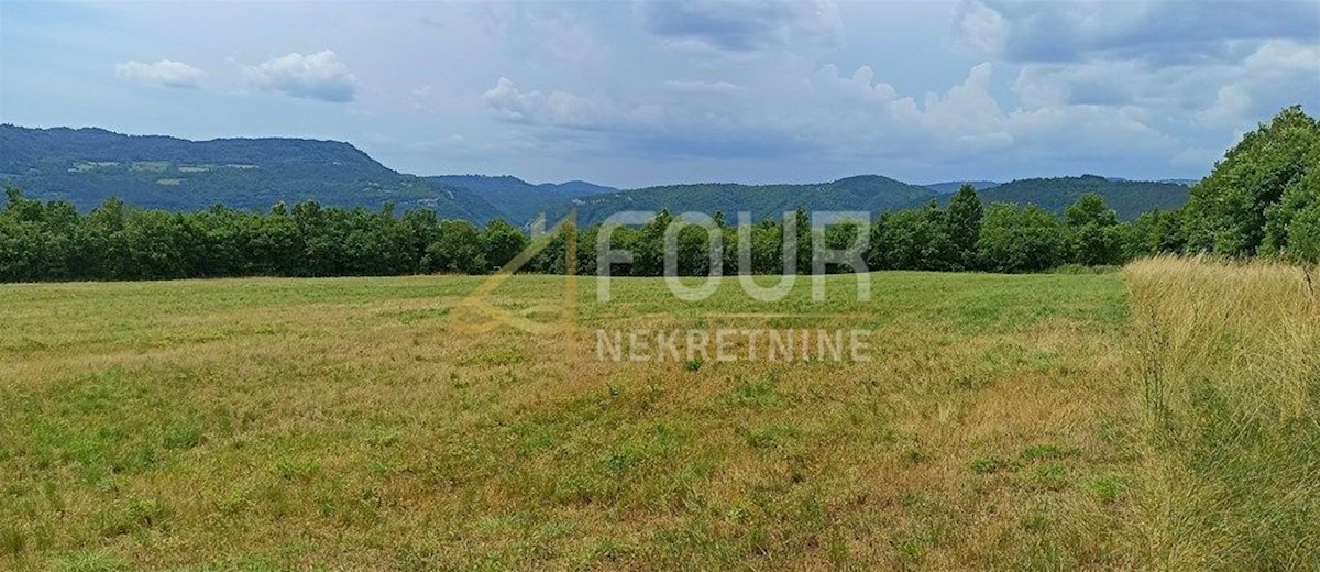 Land For sale - ISTARSKA BUZET