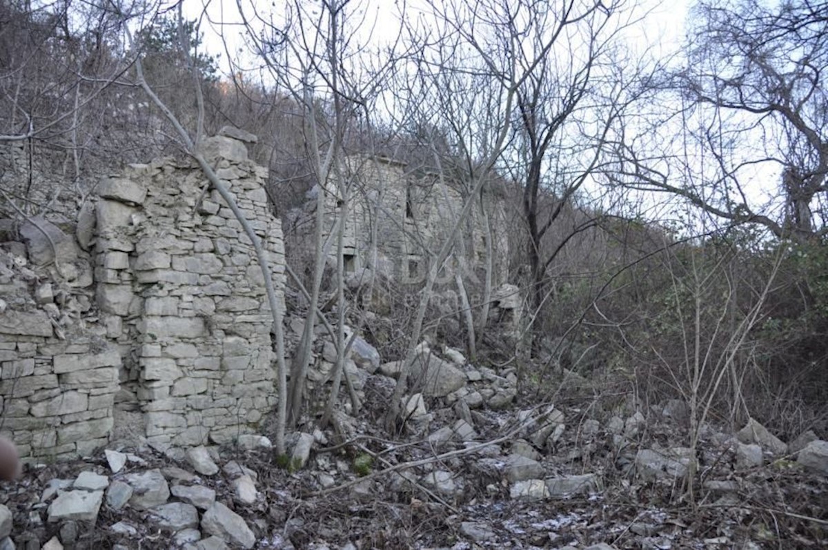 Land For sale - ISTARSKA BUZET