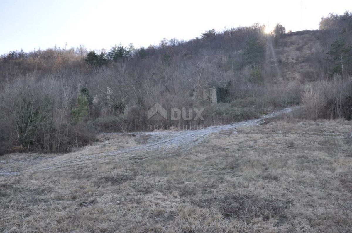 Land For sale - ISTARSKA BUZET