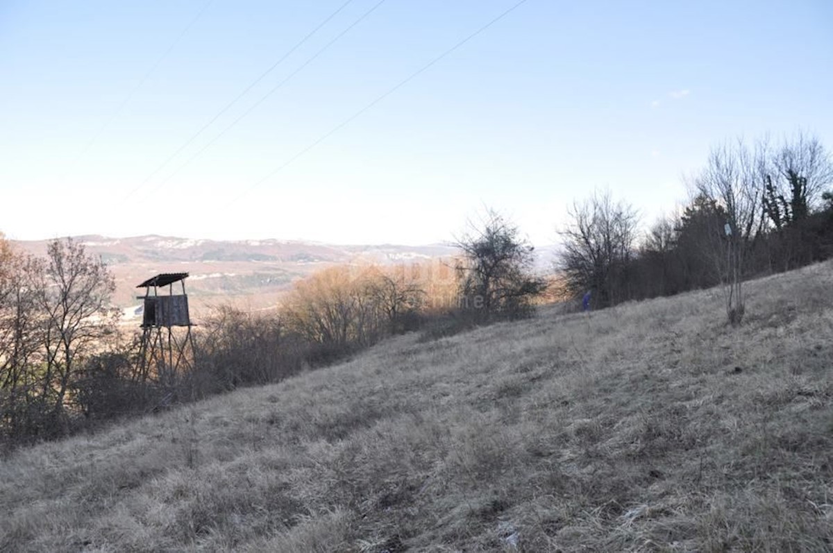 Land For sale - ISTARSKA BUZET