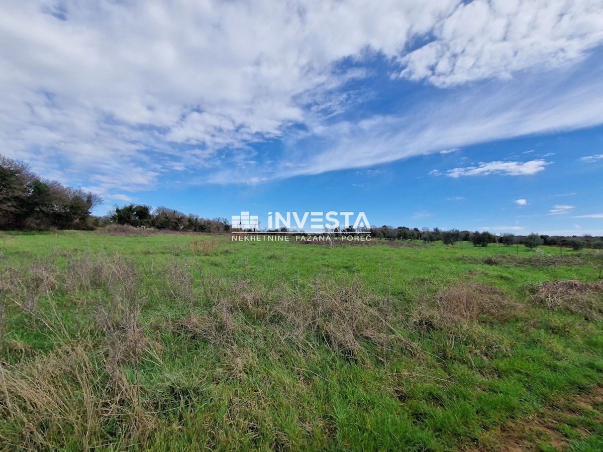 Land For sale - ISTARSKA LIŽNJAN