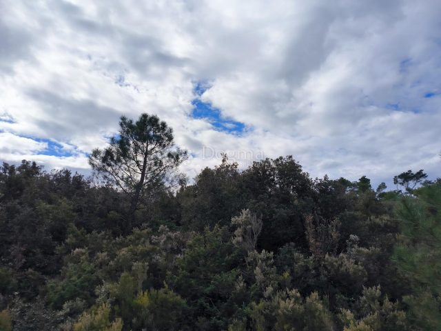 Land For sale - Zadarska Nin - foto 2/2