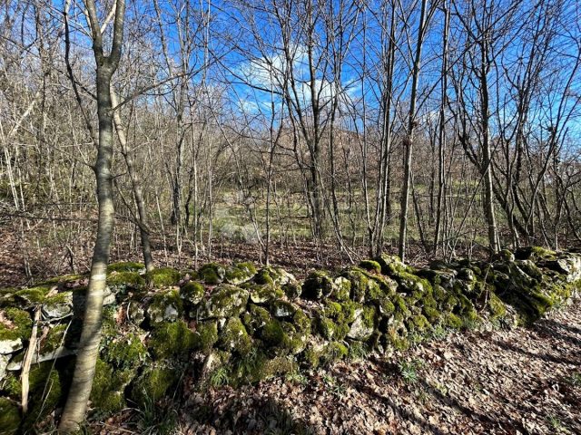 Terreno In vendita KOSI