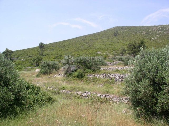 Land for sale 39541 m² – Blato