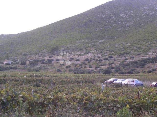 Parcela Naprodaj - Dubrovačko-neretvanska Korčula - foto 2/7