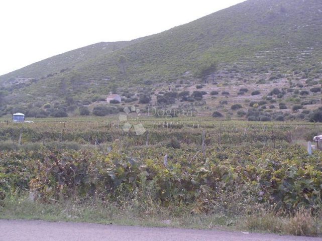 Parcela Naprodaj - Dubrovačko-neretvanska Korčula - foto 3/7