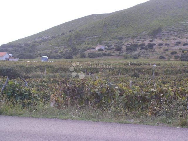 Parcela Naprodaj - Dubrovačko-neretvanska Korčula - foto 4/7
