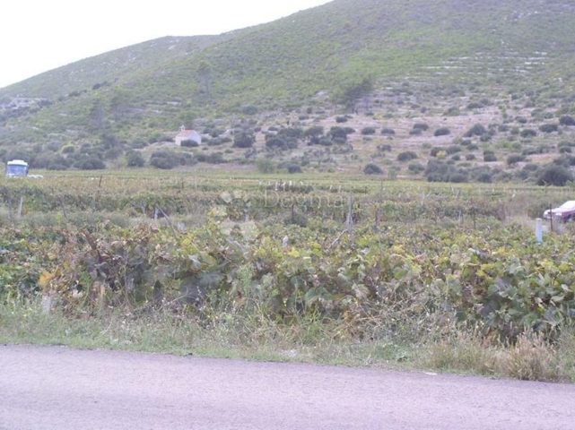 Parcela Naprodaj - Dubrovačko-neretvanska Korčula - foto 5/7