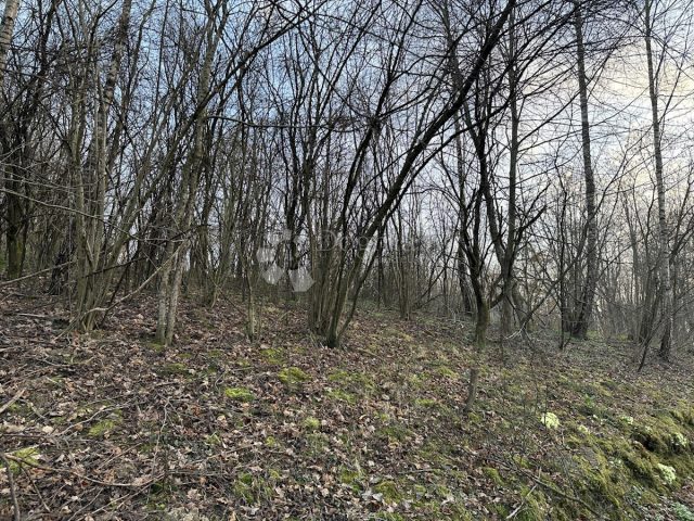 Zemljište na prodaju 7715 m² – Jazvenik