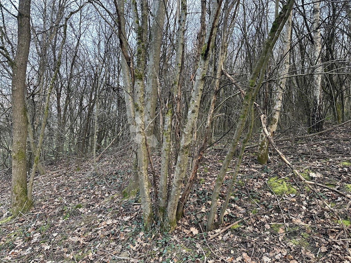 Terreno In vendita - SISAČKO-MOSLAVAČKA SISAK