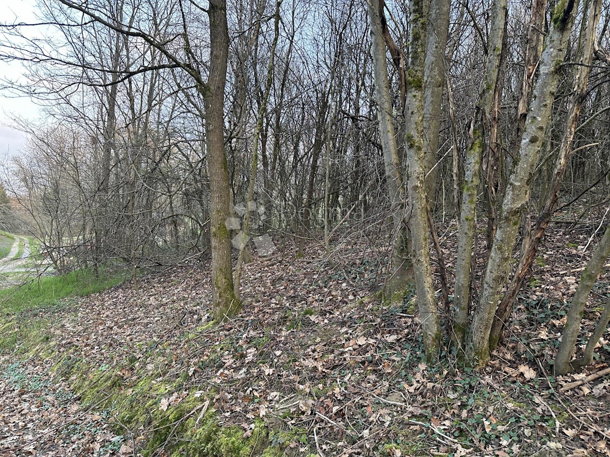 Terreno In vendita - SISAČKO-MOSLAVAČKA SISAK
