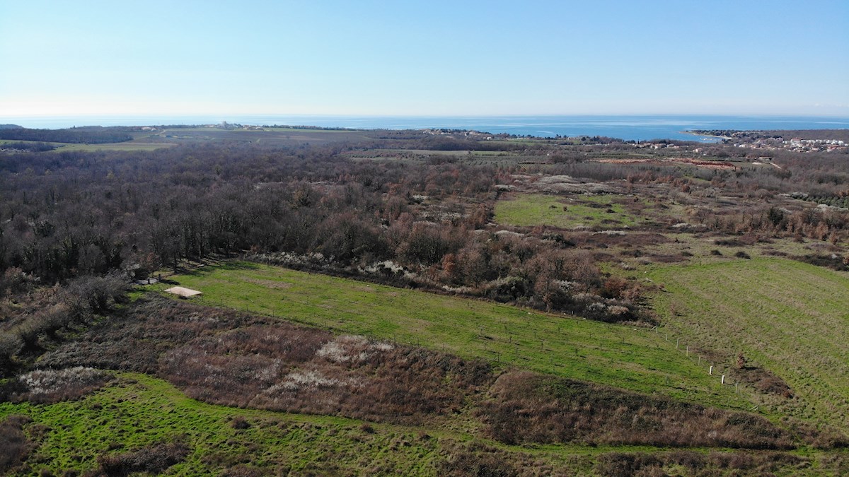 Pozemok Na predaj - ISTARSKA NOVIGRAD