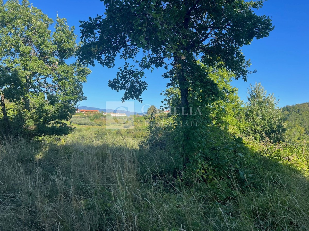 Terreno In vendita - ISTARSKA BUZET