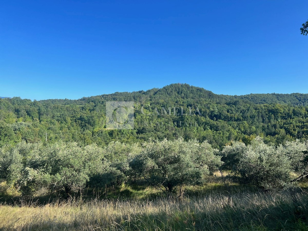 Parcela Naprodaj - ISTARSKA Buzet