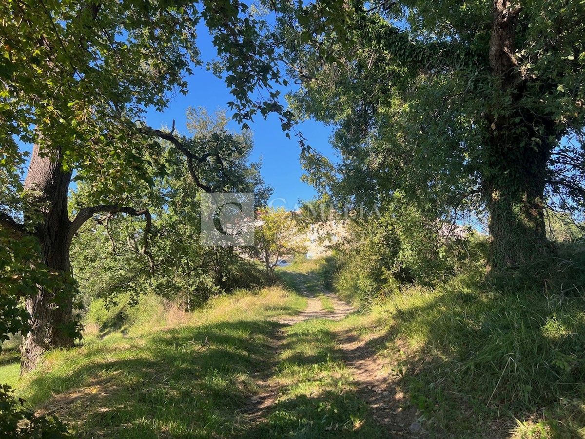 Terreno In vendita - ISTARSKA BUZET