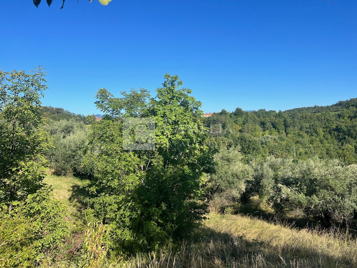Terreno In vendita - ISTARSKA BUZET