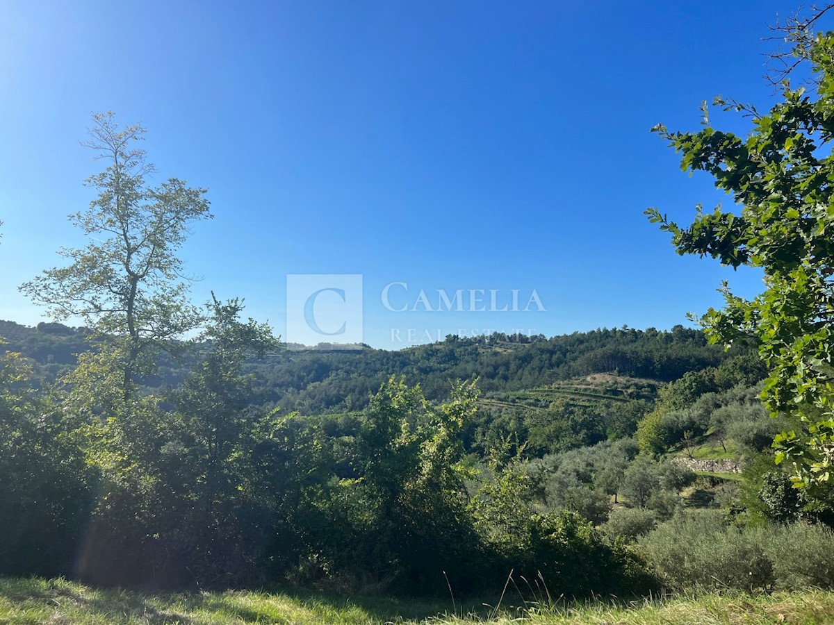 Terreno In vendita - ISTARSKA BUZET