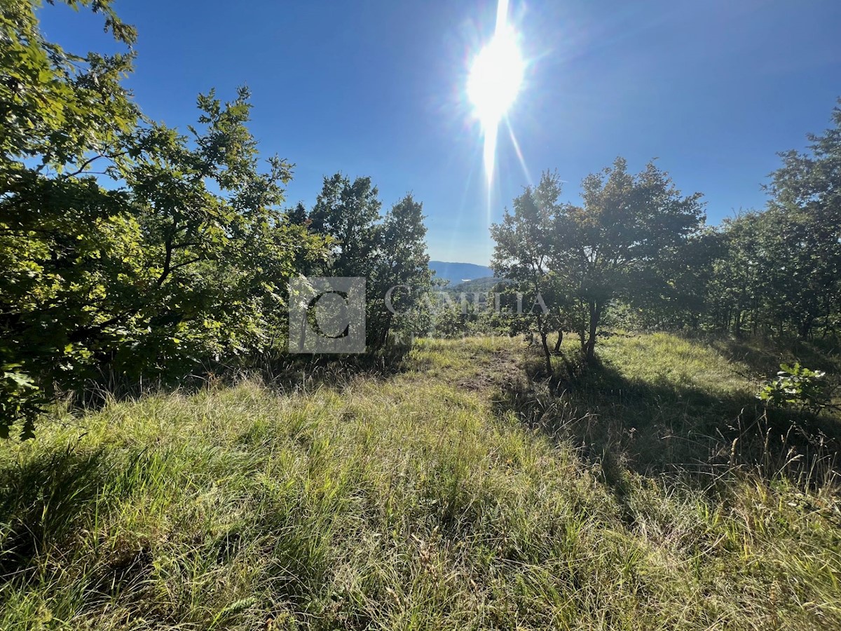Terreno In vendita - ISTARSKA BUZET