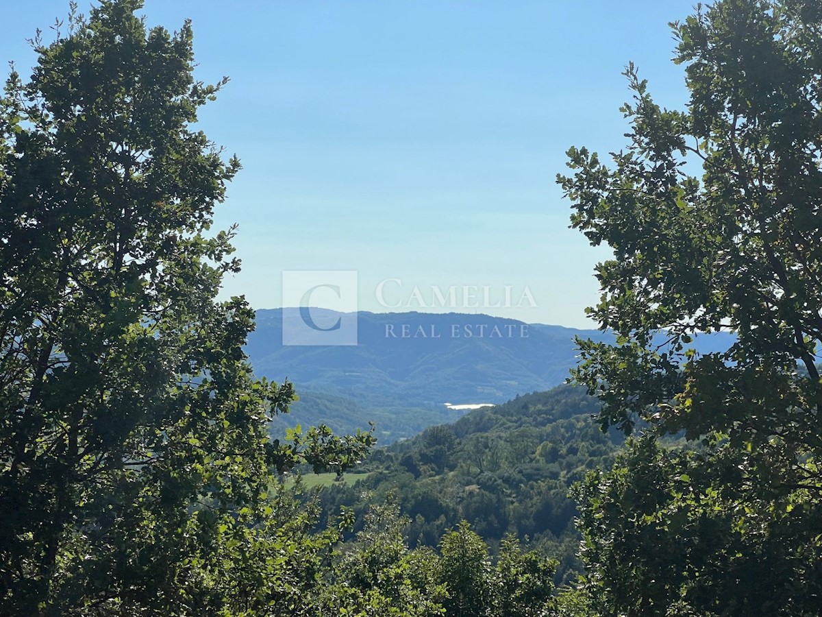 Terreno In vendita - ISTARSKA BUZET
