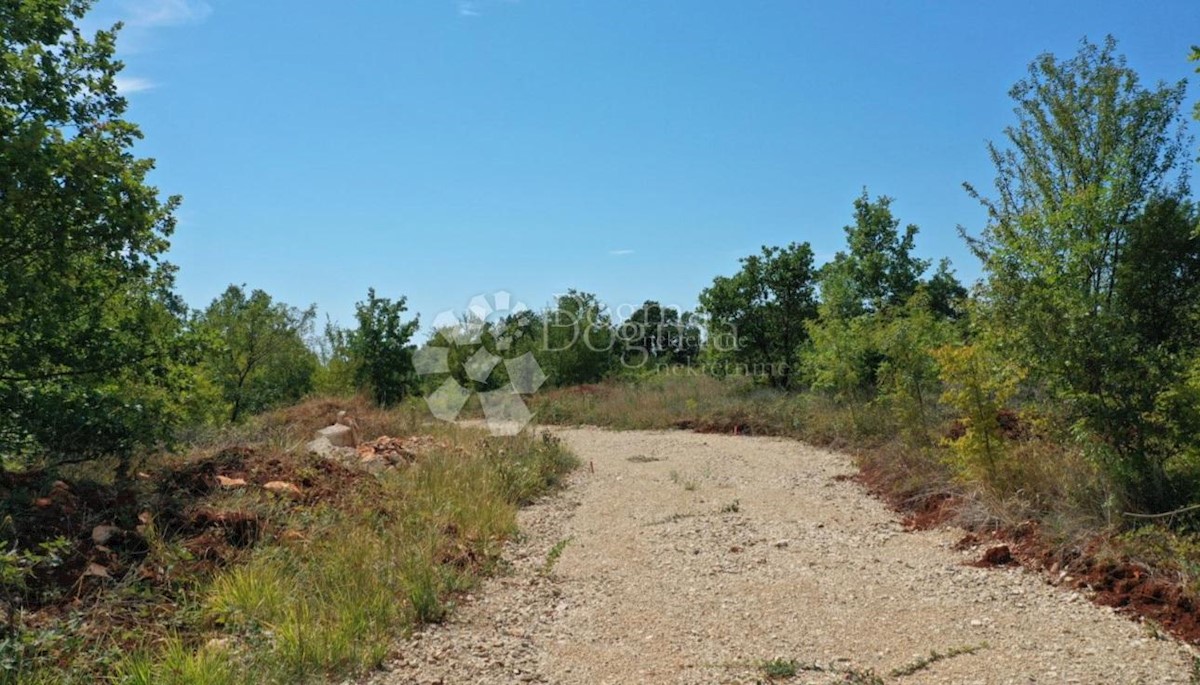 Land For sale - ISTARSKA LIŽNJAN