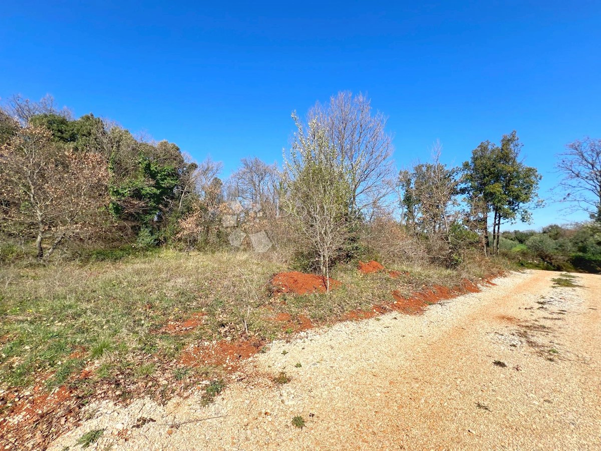 Terreno In vendita - ISTARSKA LIŽNJAN