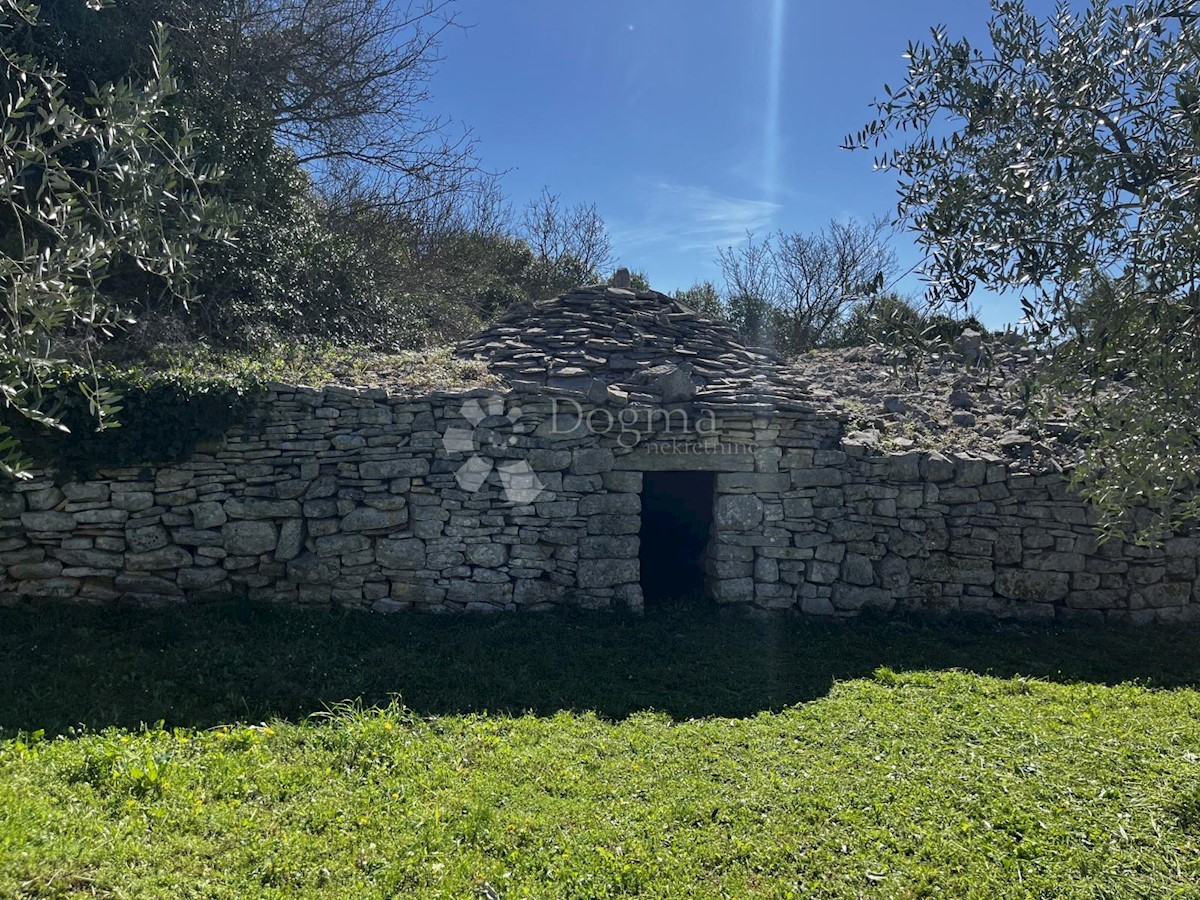 Pozemok Na predaj - ISTARSKA FAŽANA