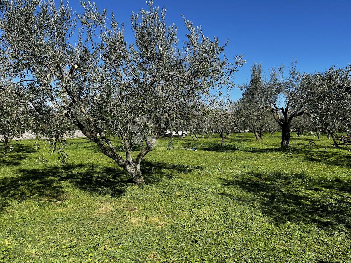 Parcela Naprodaj - ISTARSKA Fažana