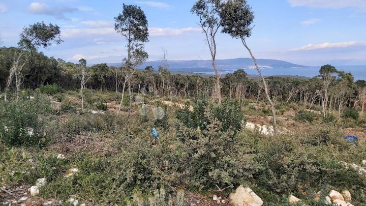 Parcela Na predaj - Istarska Marčana - foto 2/4