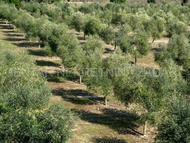 Parcela na predaj 38600 m² – Tisno