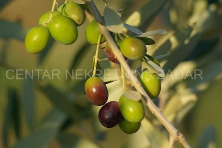 Parcela Naprodaj - šibensko-kninska Murter - foto 3/6